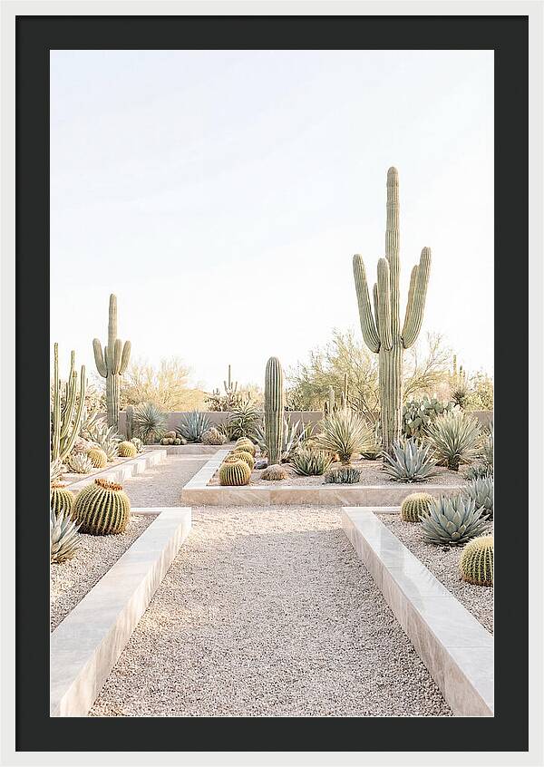 Cactus Garden Serenity