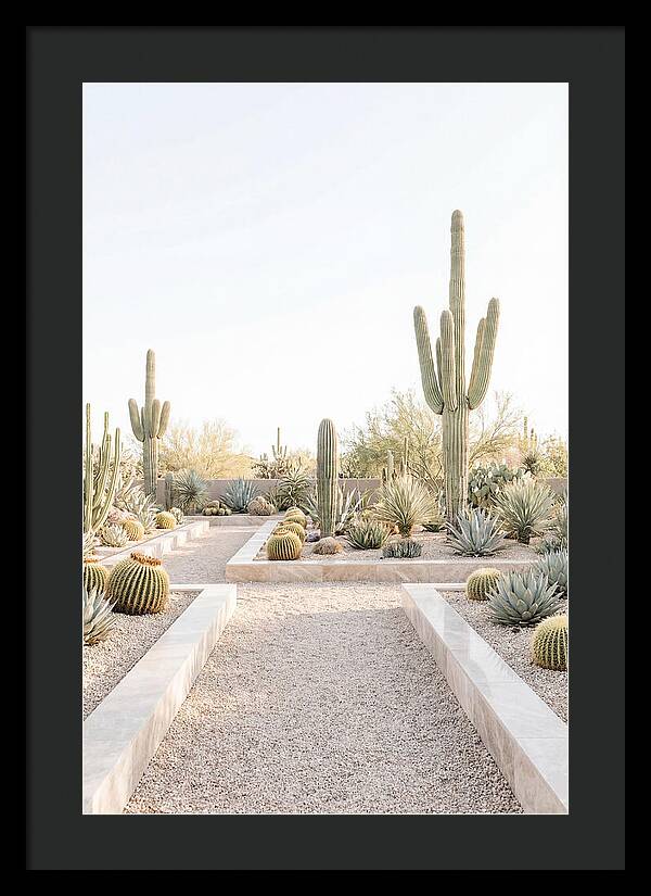Cactus Garden Serenity