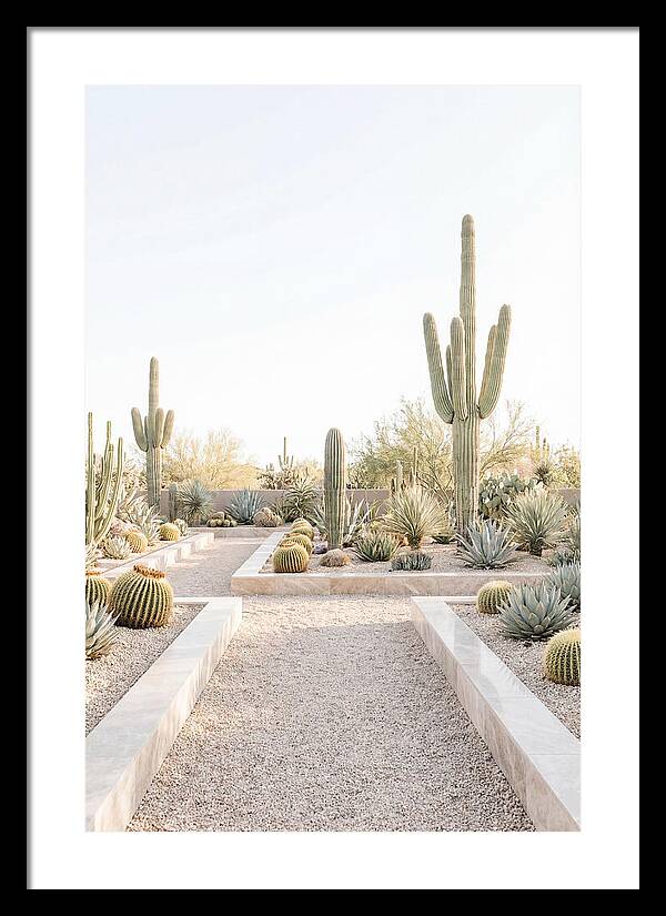 Cactus Garden Serenity