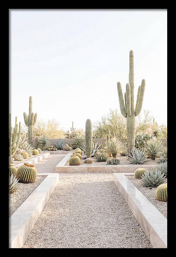 Cactus Garden Serenity