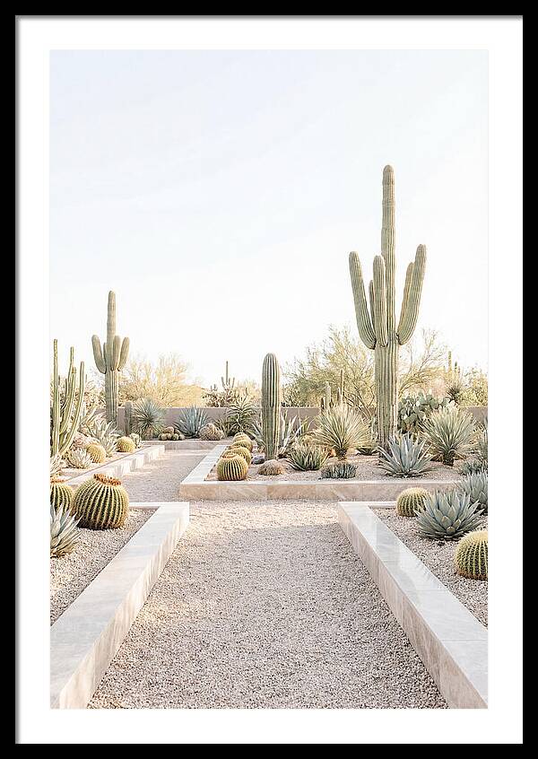 Cactus Garden Serenity