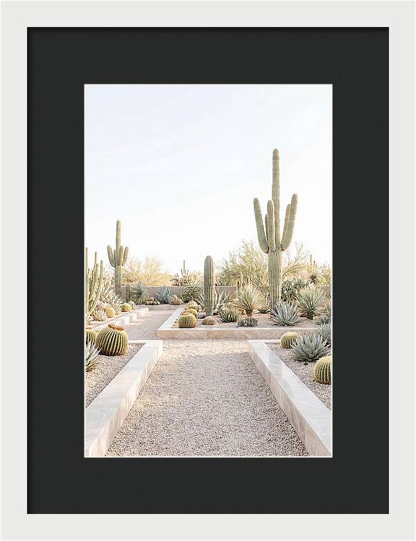 Cactus Garden Serenity