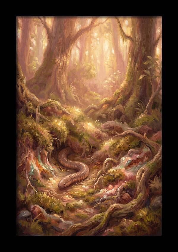 Caecilian In The Forest
