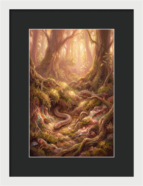 Caecilian In The Forest
