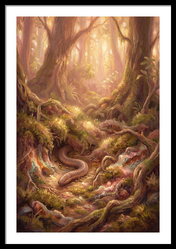 Caecilian In The Forest