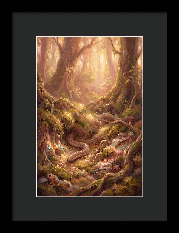 Caecilian In The Forest