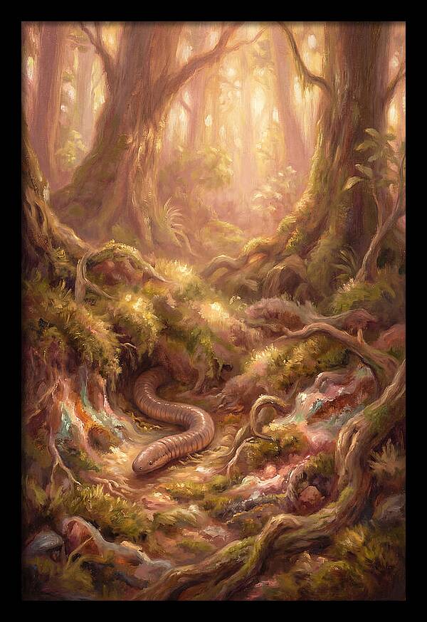 Caecilian In The Forest