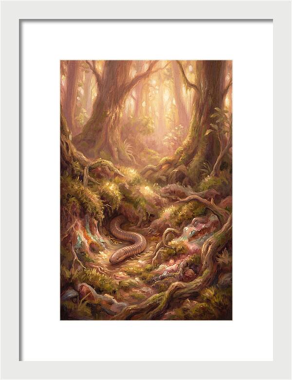 Caecilian In The Forest