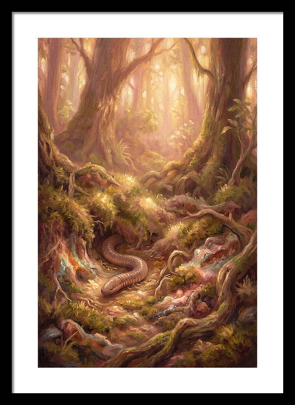 Caecilian In The Forest