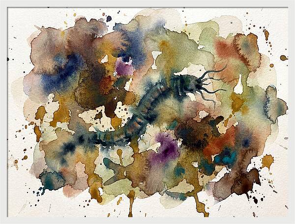 Caecilian In Watercolor