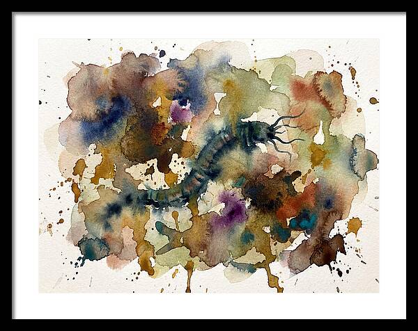 Caecilian In Watercolor