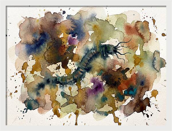 Caecilian In Watercolor