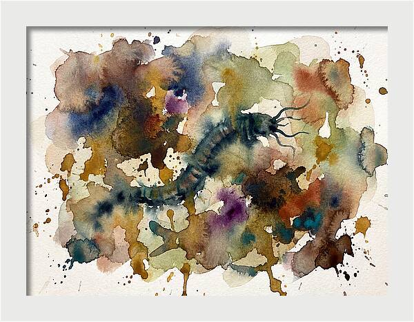 Caecilian In Watercolor