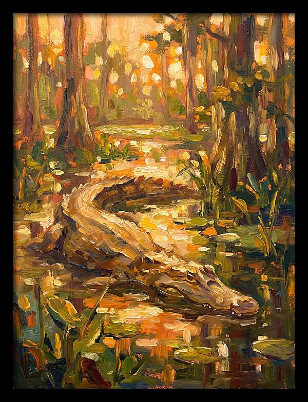 Caiman In The Wetlands