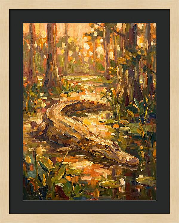 Caiman In The Wetlands