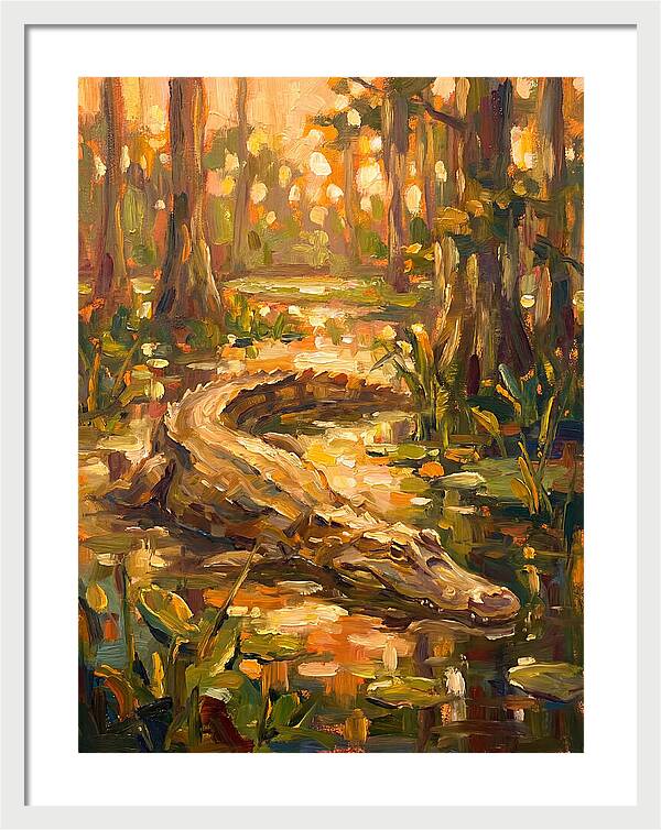 Caiman In The Wetlands