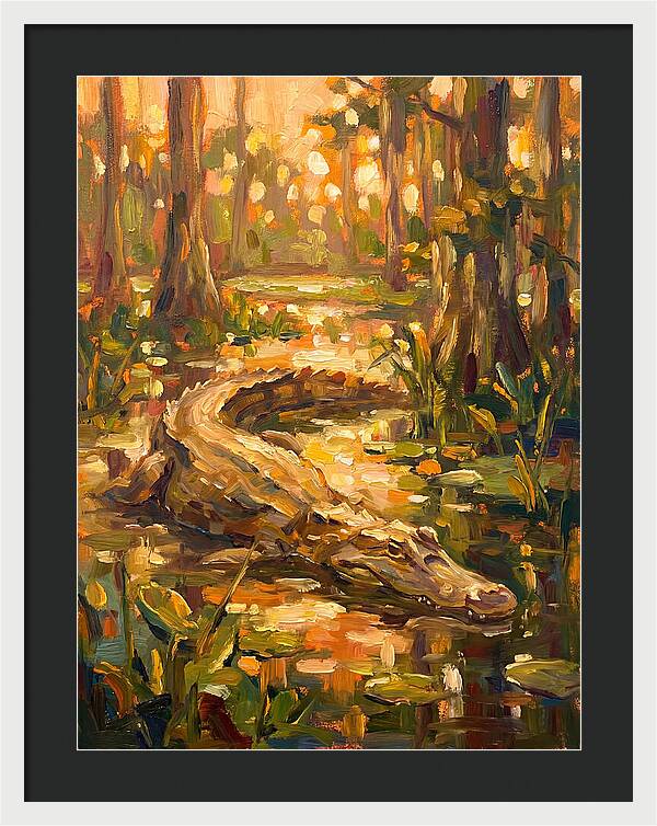 Caiman In The Wetlands