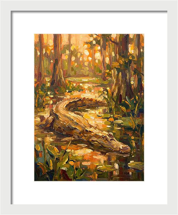 Caiman In The Wetlands