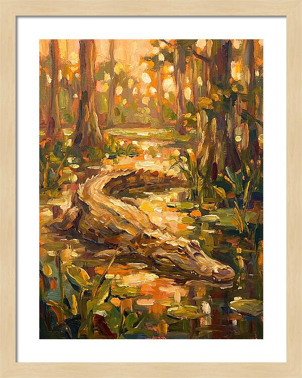 Caiman In The Wetlands