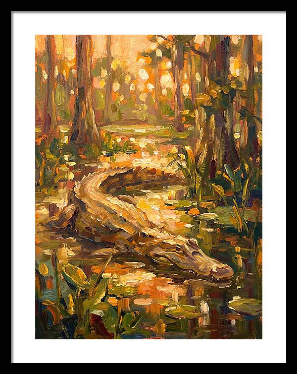 Caiman In The Wetlands