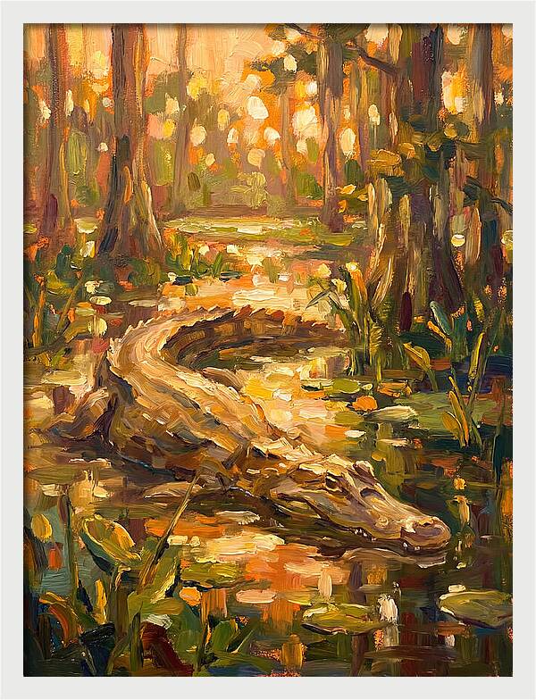 Caiman In The Wetlands