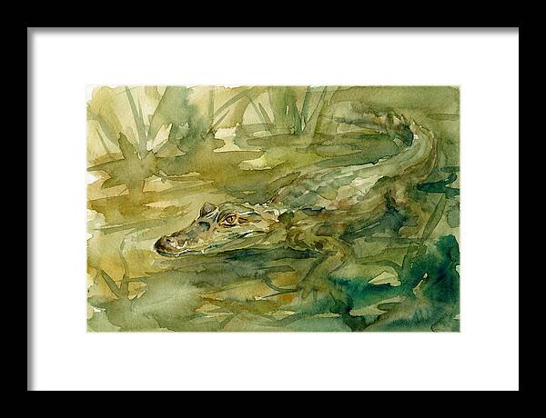 Caiman In Tranquil Waters