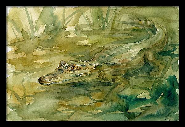 Caiman In Tranquil Waters