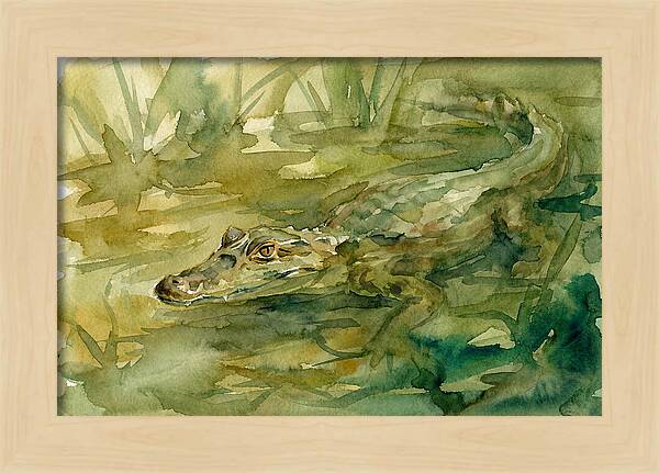 Caiman In Tranquil Waters