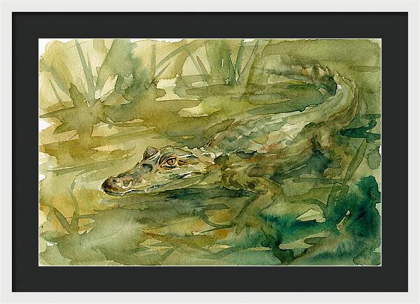 Caiman In Tranquil Waters