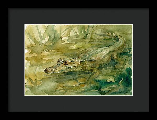 Caiman In Tranquil Waters