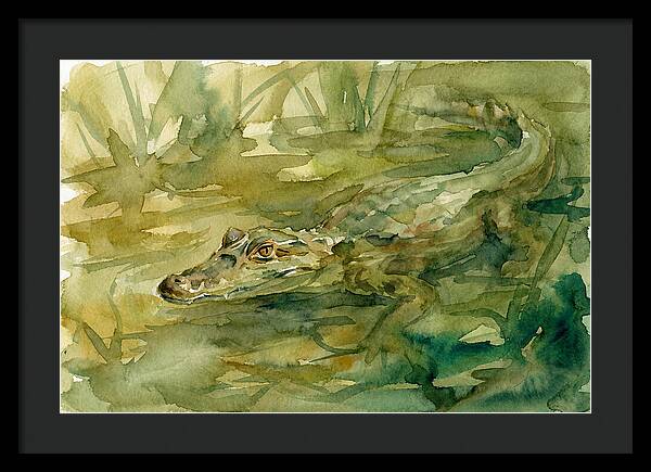 Caiman In Tranquil Waters