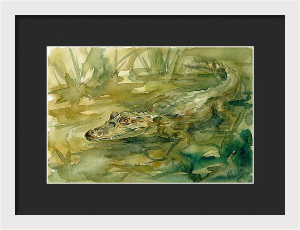 Caiman In Tranquil Waters