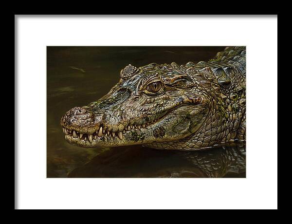 Caiman Realism Portrait