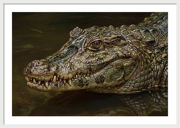 Caiman Realism Portrait