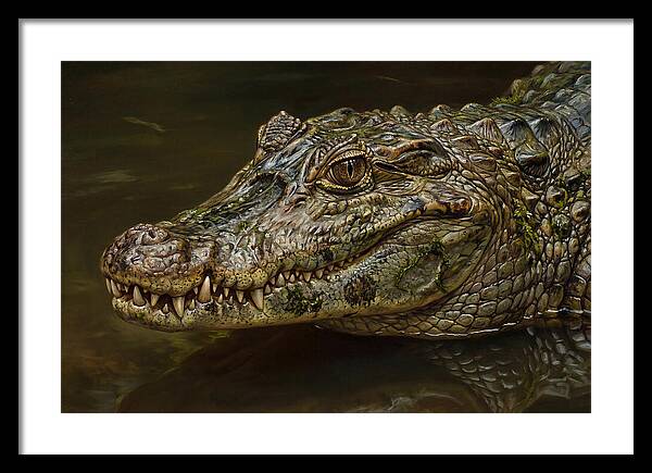 Caiman Realism Portrait