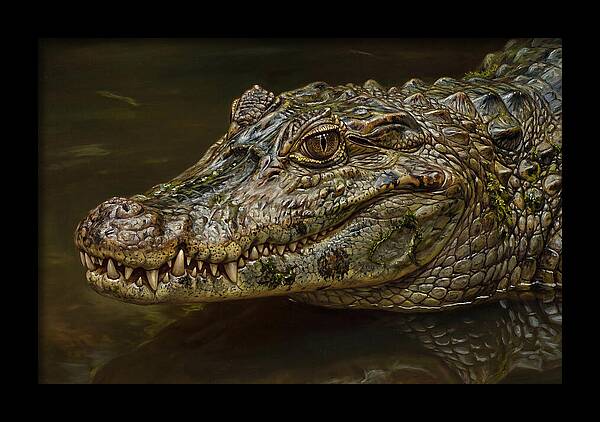 Caiman Realism Portrait