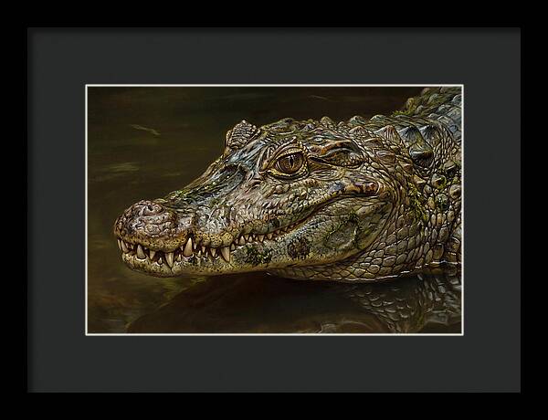 Caiman Realism Portrait