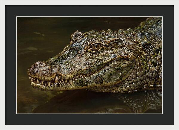 Caiman Realism Portrait