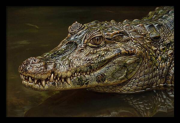 Caiman Realism Portrait