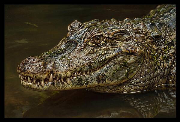 Caiman Realism Portrait