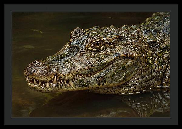Caiman Realism Portrait