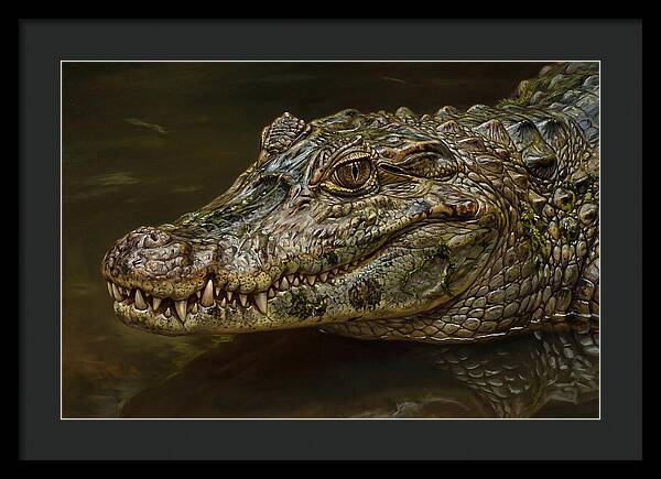 Caiman Realism Portrait