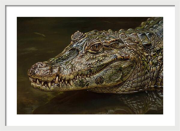 Caiman Realism Portrait