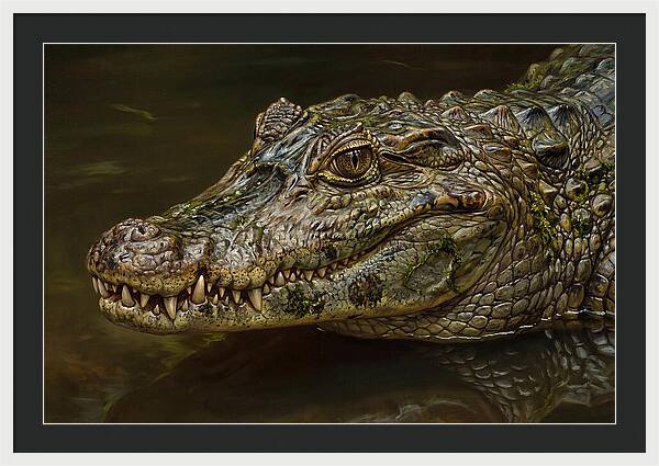 Caiman Realism Portrait