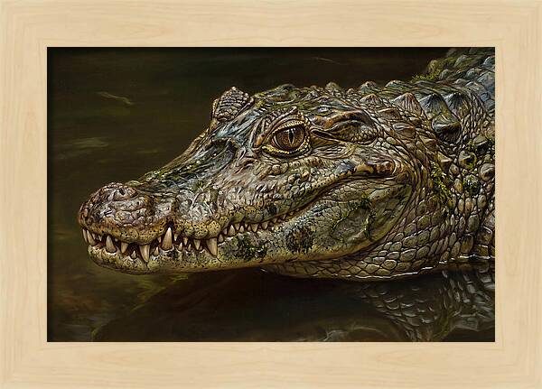 Caiman Realism Portrait