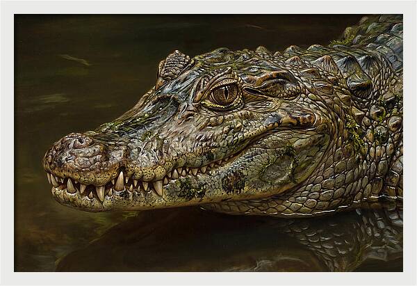Caiman Realism Portrait