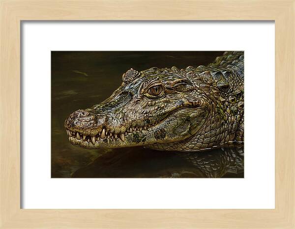 Caiman Realism Portrait