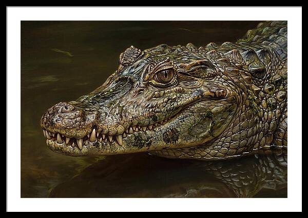 Caiman Realism Portrait