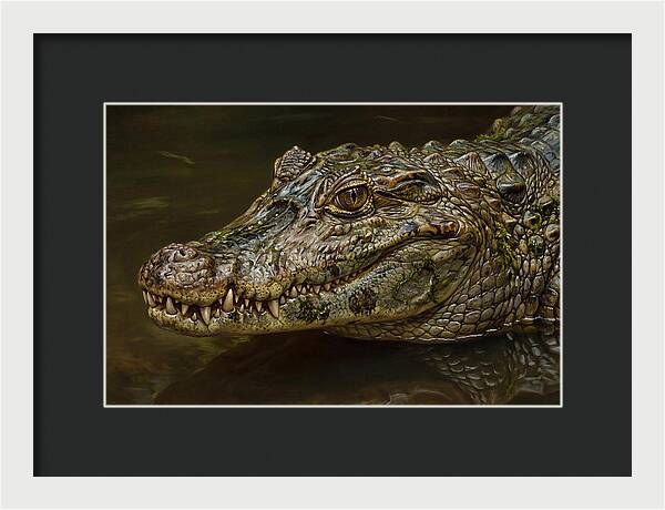 Caiman Realism Portrait