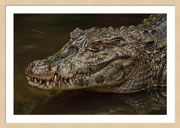 Caiman Realism Portrait